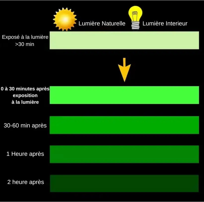 6 Surligneurs Néon “Night Glow” — Couleurs lumineuses qui brillent sous lumière noire (UV) — FAMICOLOR